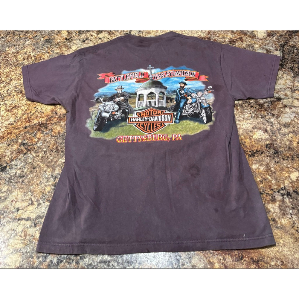 Harley-Davidson Distressed Logo Tee